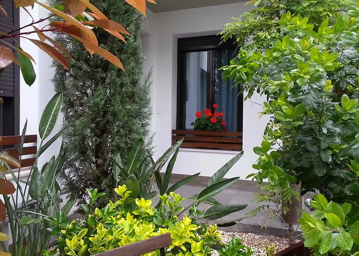 Apartamentos Patio De Viana